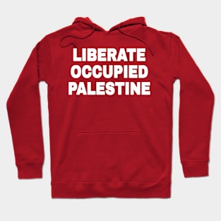 LIBERATE OCCUPIED PALESTINE - Watermelon Folding Chair - Double-sided Hoodie